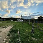 Nido Dei Passeri Calasetta