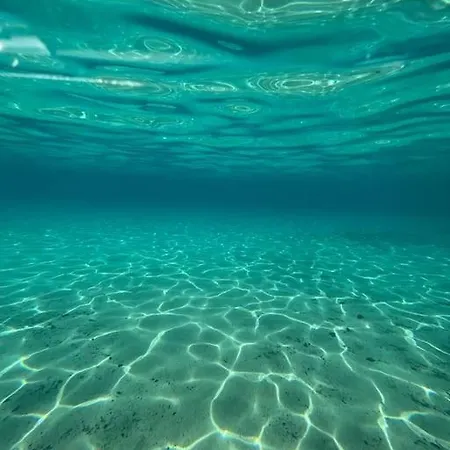 Dom wakacyjny Nido Dei Passeri *