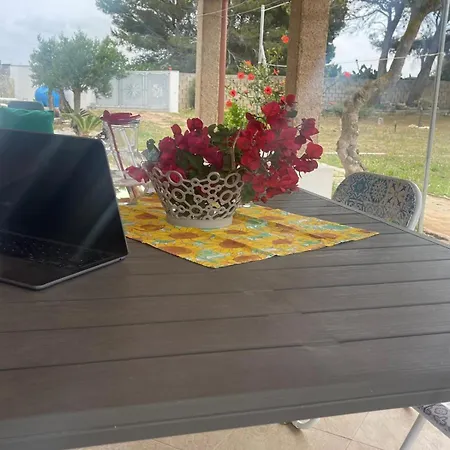 Dom wakacyjny Nido Dei Passeri *