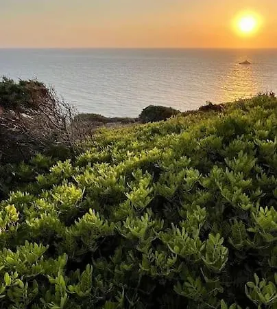Vicino Al Mare Con Veranda * Calasetta